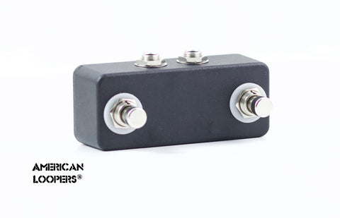 Dual Aux Switch For Morningstar MC6 and HX Stomp (2 Button)