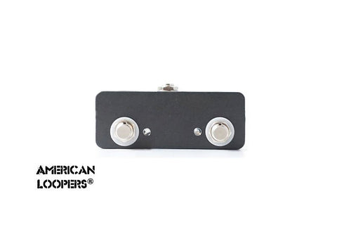 External Footswitch Aux Switch For Friedman BE-100 With LEDs